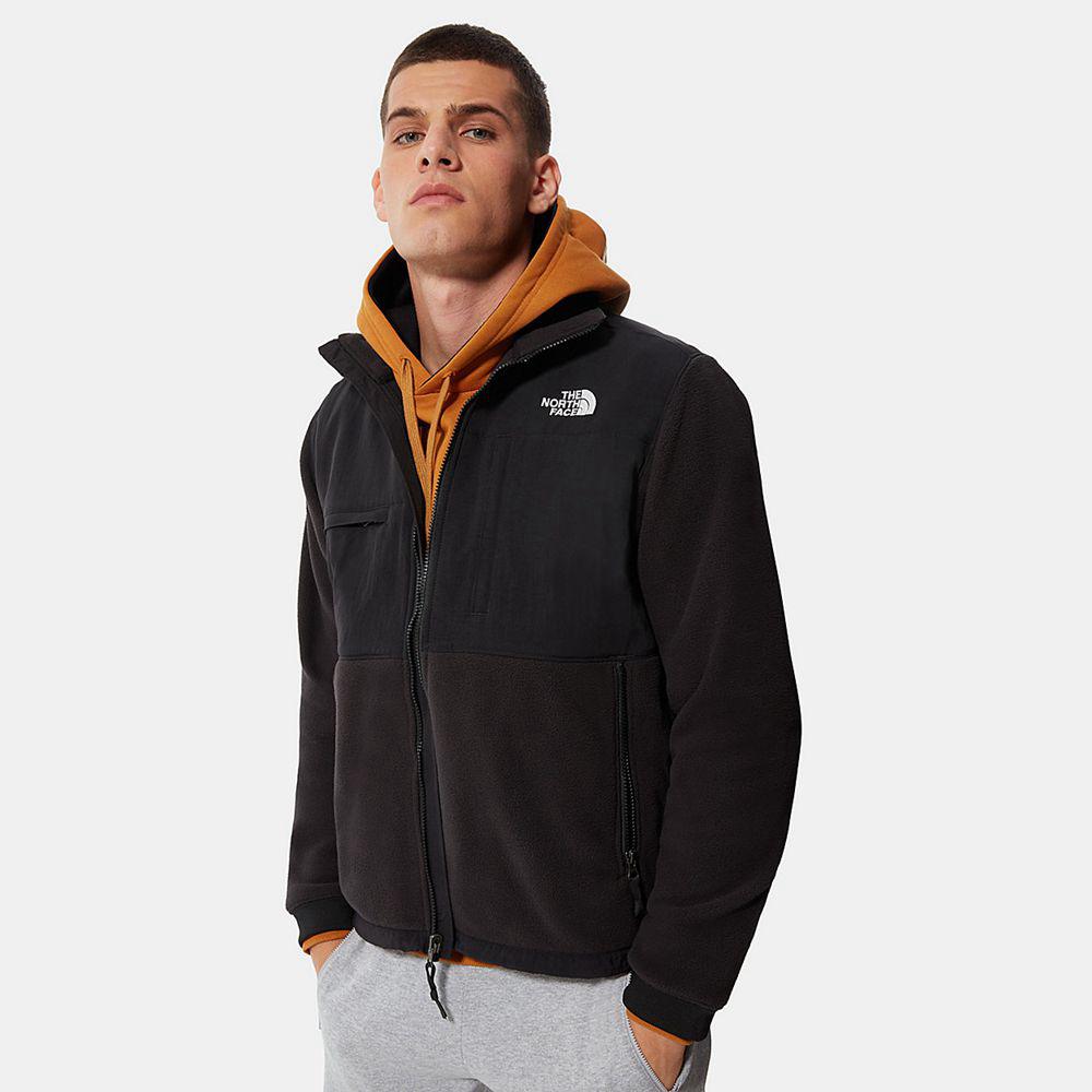 The North Face Denali 2 Ανδρικα Μπουφάν Fleece - Μαυρα (EGHA52941)